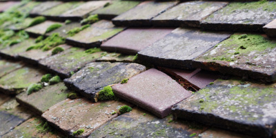 Danbury roof repair costs